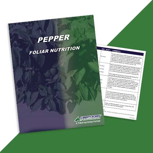 Foliar Nutrition Pepper Program