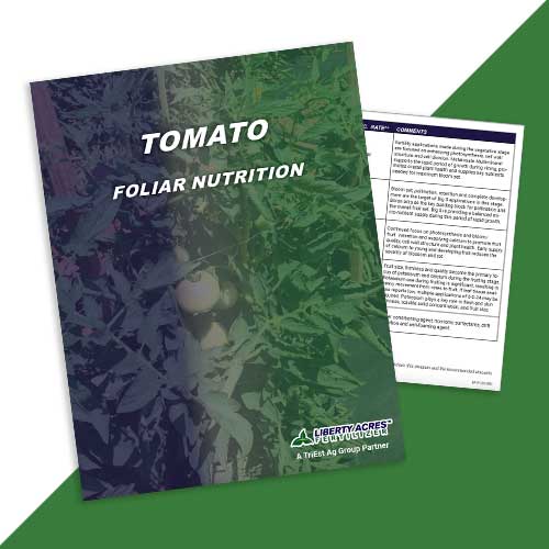 Foliar Nutrition Tomato Program